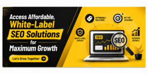SEO Reseller India